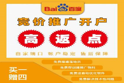 某电商平台的SEM优化案例分享